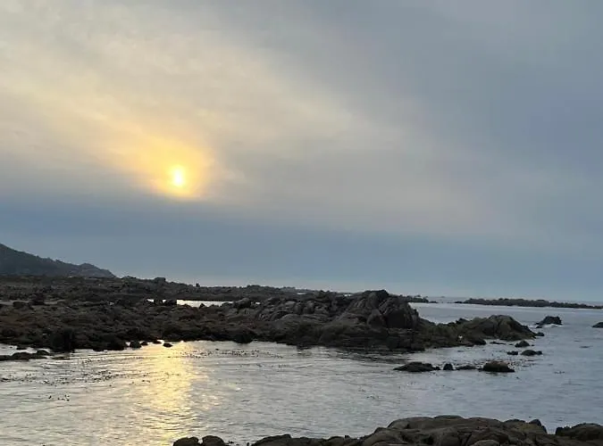 Paseo Maritimo 아파트